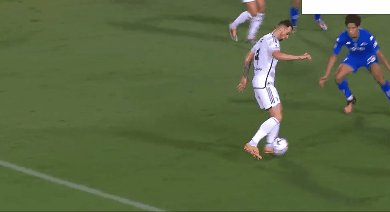 1693785934977045537.gif emp juv 35.1.gif